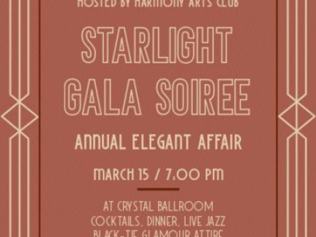 Instagram Story Video Maker for an Annual Elegant Gala Event 8197