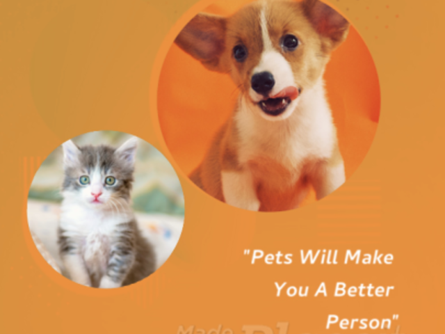 Instagram Video Maker with a Gradient Background for Inspirational Quotes 860a 1094