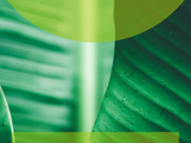 Instagram Story Video Maker with Dynamic Animations 1131a 1523