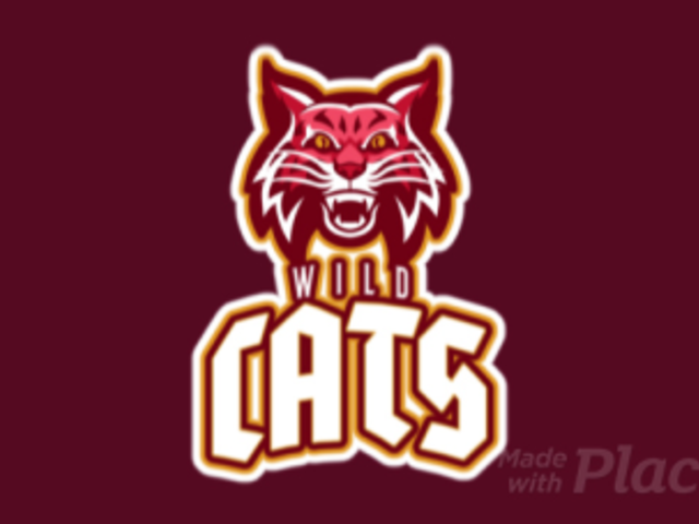 Animated Mascot Logo Maker Featuring an Aggressive Wildcat Illustration 21v-2857
