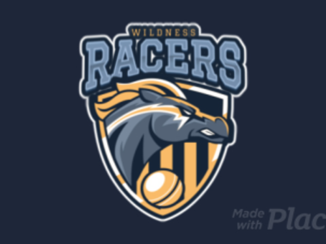 Animated Cricket Team Logo Template 1650e