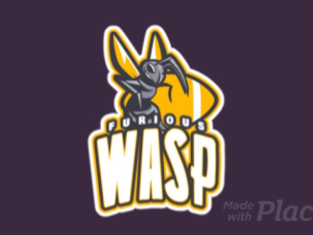 Animated Football Logo Generator with a Furious Wasp Illustration a245qq-2935