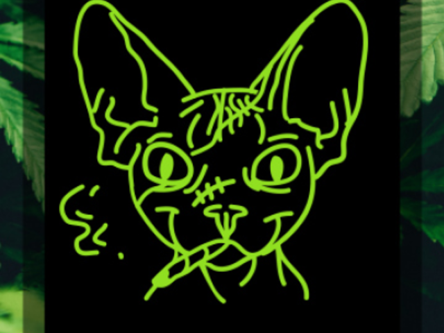 Instagram Story Video Maker for a 420 Sale 851