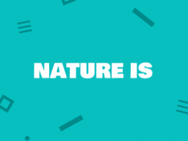 Instagram Post Video Maker with a Travel Quote 1538e 1564