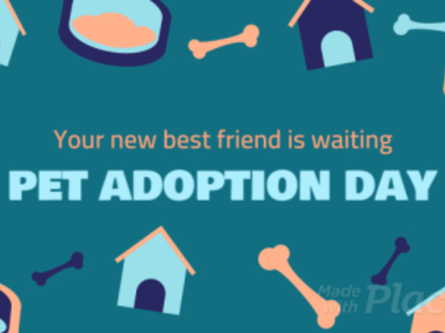 Intro Maker for a Pet Adoption Featuring Animated Features 1790