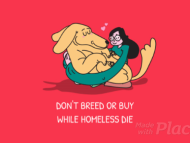 YouTube Ad Template for Pet Adoption Awareness 1826