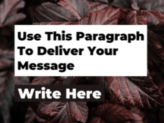 Instagram Story Video Maker Featuring Simple Text and Animations 2428-el1