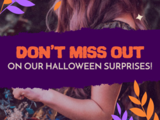 Instagram Story Video Generator Featuring a Cute Pumpkin Animated Graphic 5705