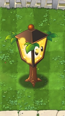 Plants vs Zombies Plantern Plants vs Zombies Plantern