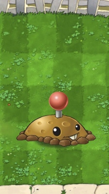 Plants vs Zombies Potatomine Plants vs Zombies Potatomine