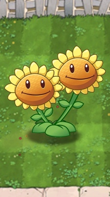 Plants vs Zombies Sunflower Plants vs Zombies Sunflower
