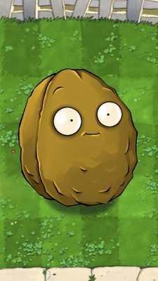 Plants vs Zombies Wallnut Plants vs Zombies Wallnut