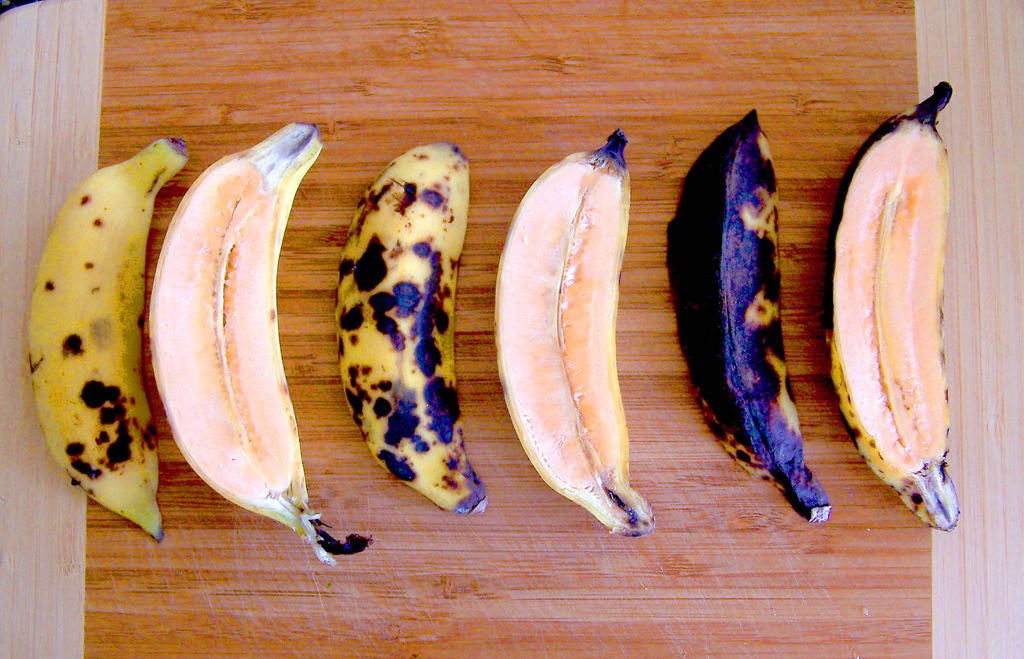 Banana Diseases and Pests, Description, Uses, Propagation