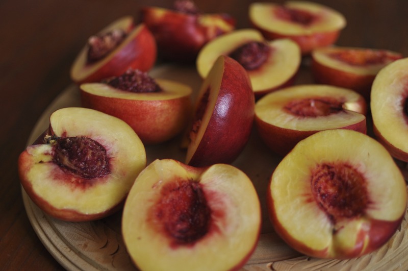 General Plant & grow a nectarine tree from their stones