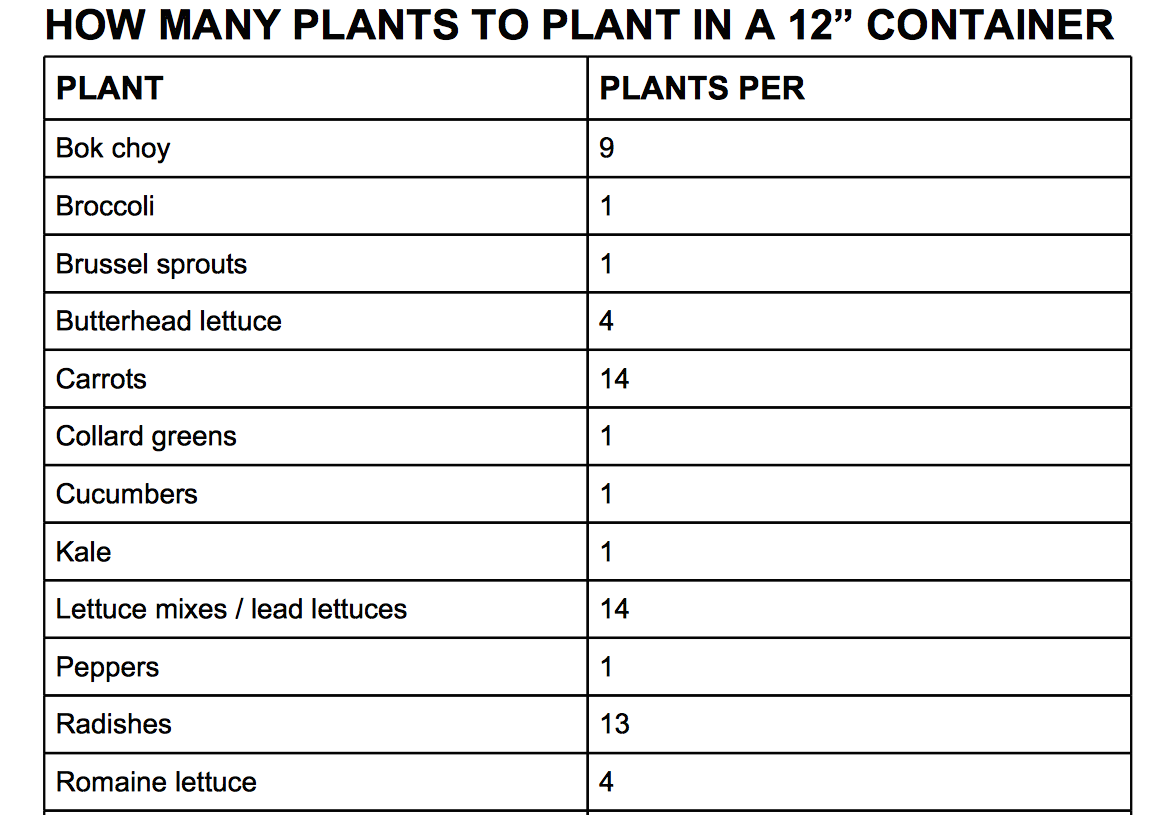 Pepper, bell Pot sizes