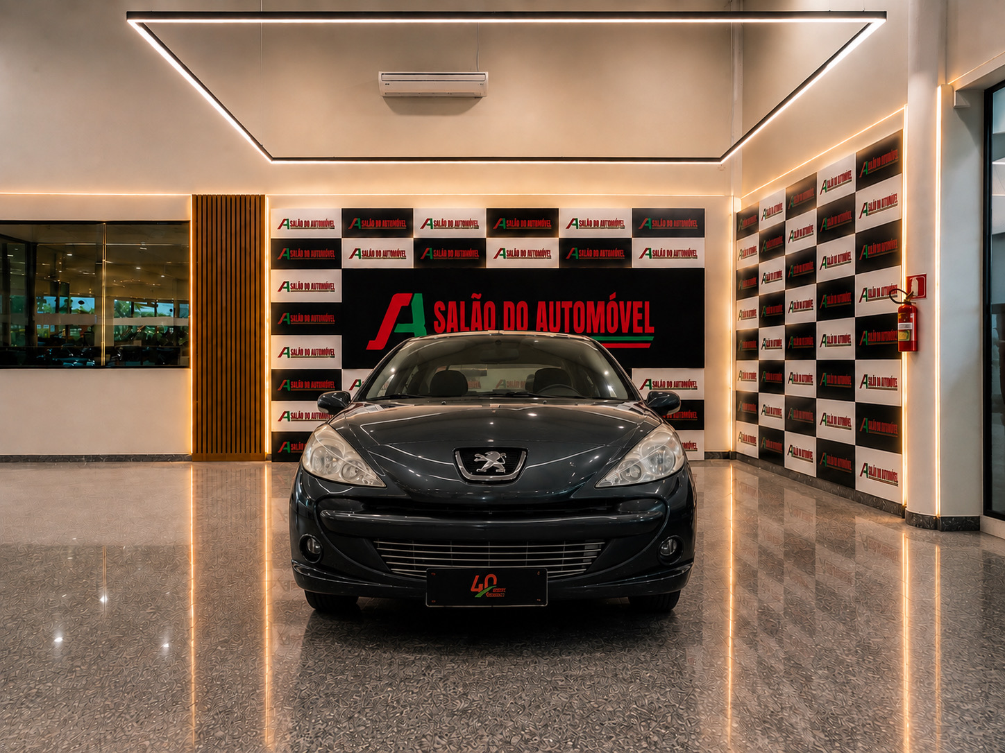 Foto do veículo PEUGEOT 207PASSION XR S