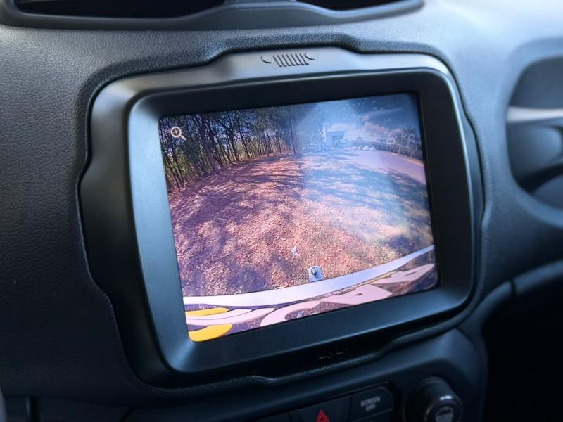RENEGADE LGTD T270