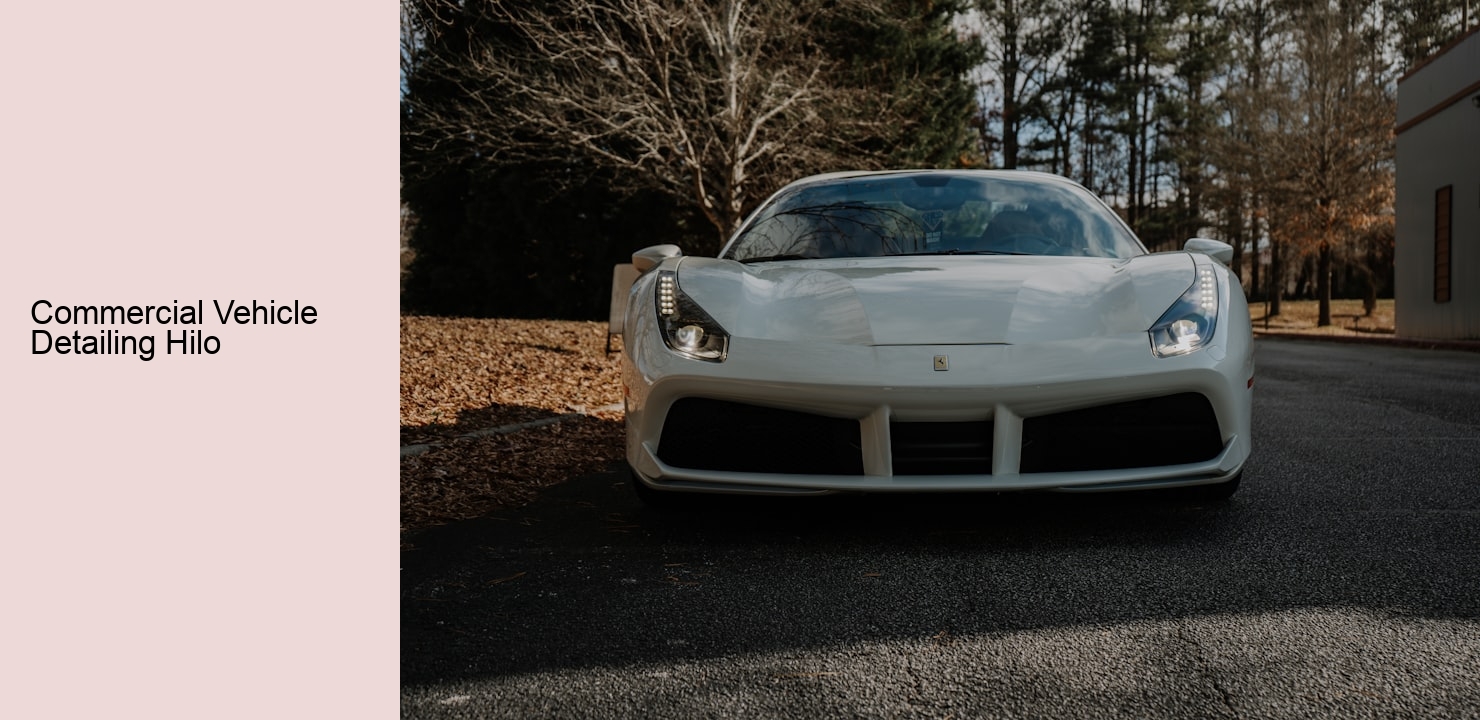 Commercial Vehicle Detailing Hilo Platinum Detailing Services Commercial Vehicle Detailing Hilo