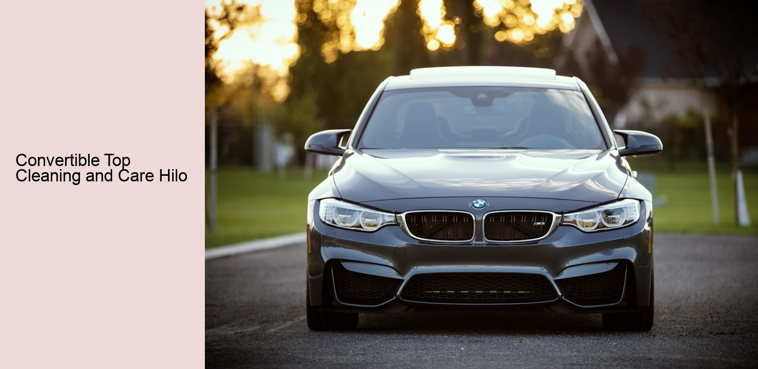 Convertible Top Cleaning and Care Hilo