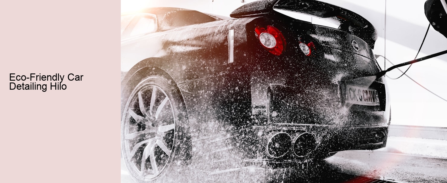 Eco-Friendly Car Detailing Hilo