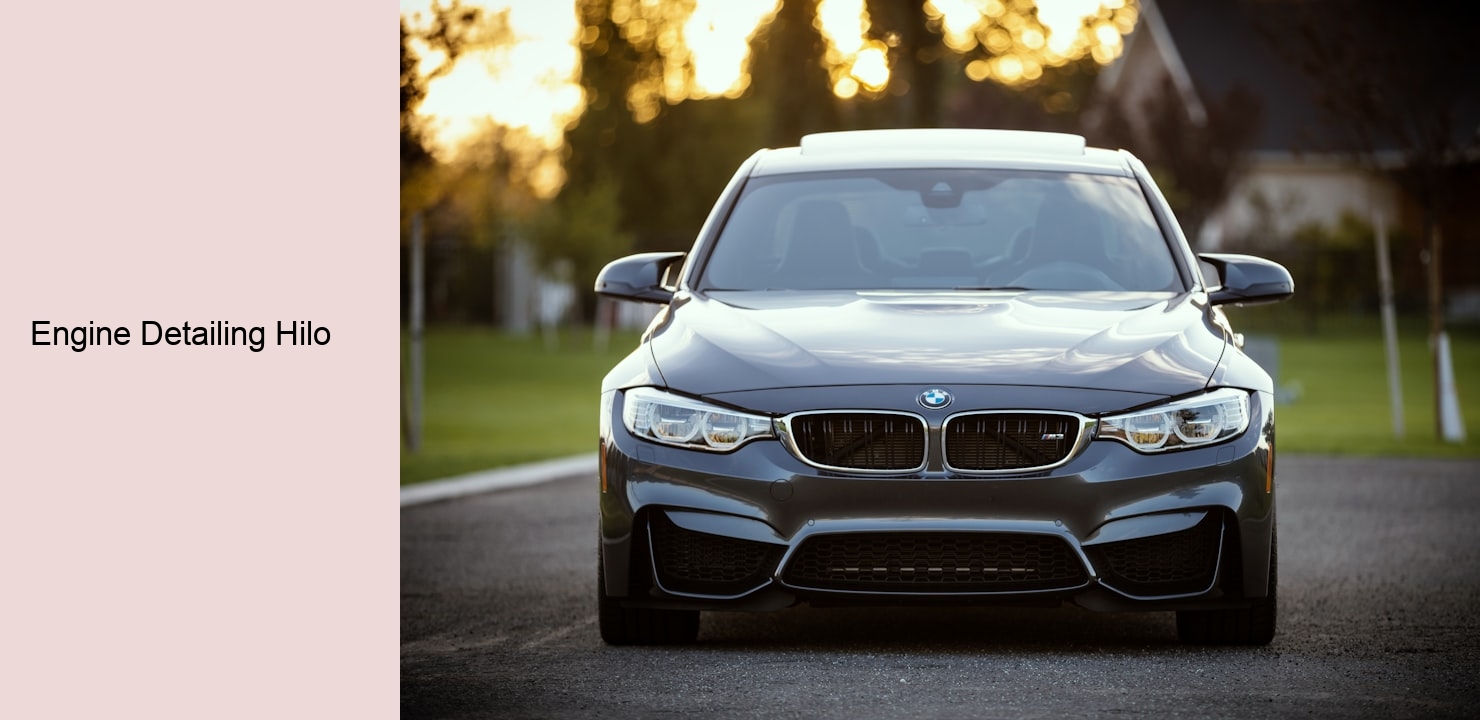 Engine Detailing Hilo