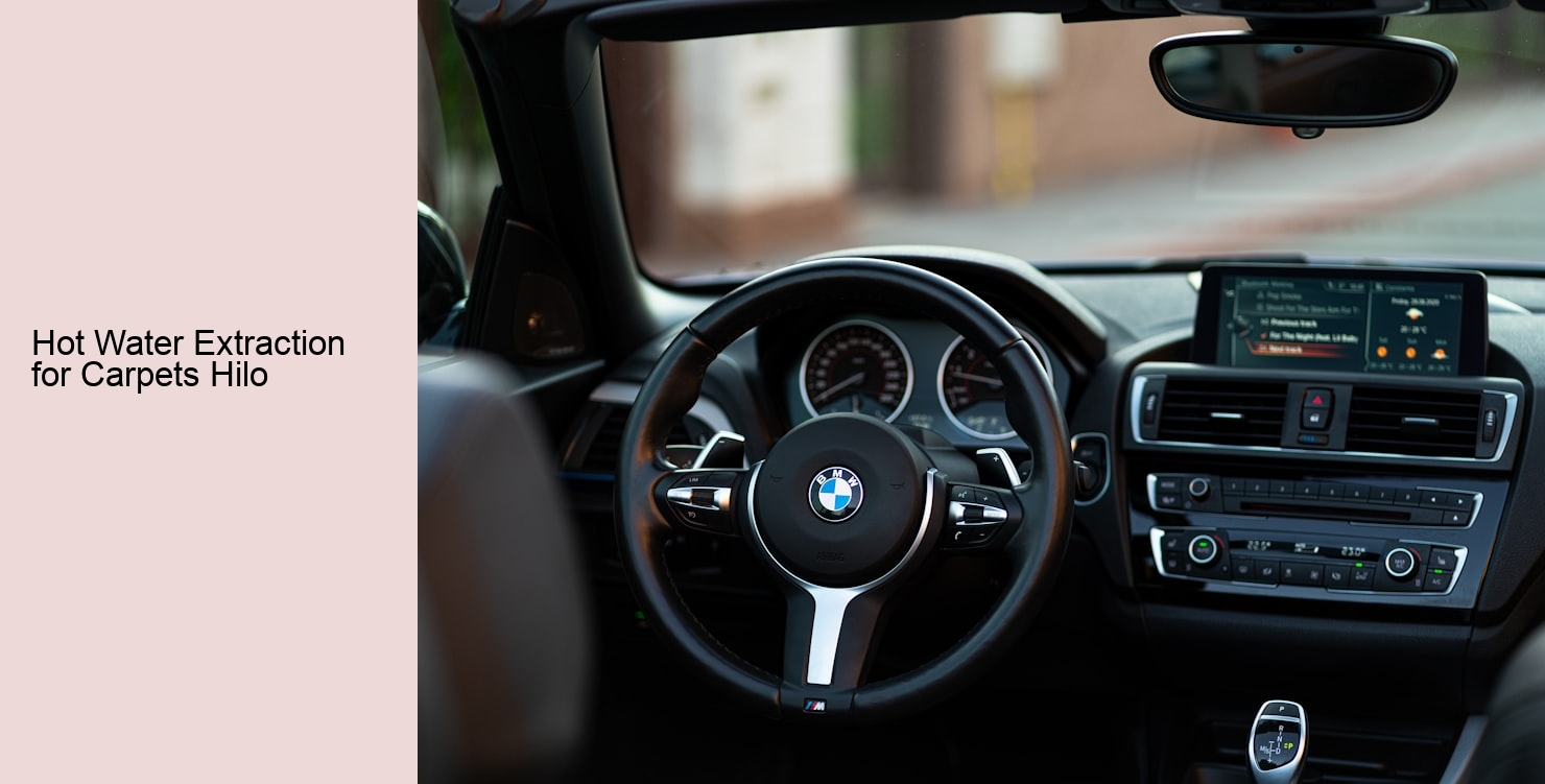 Hot Water Extraction for Carpets Hilo