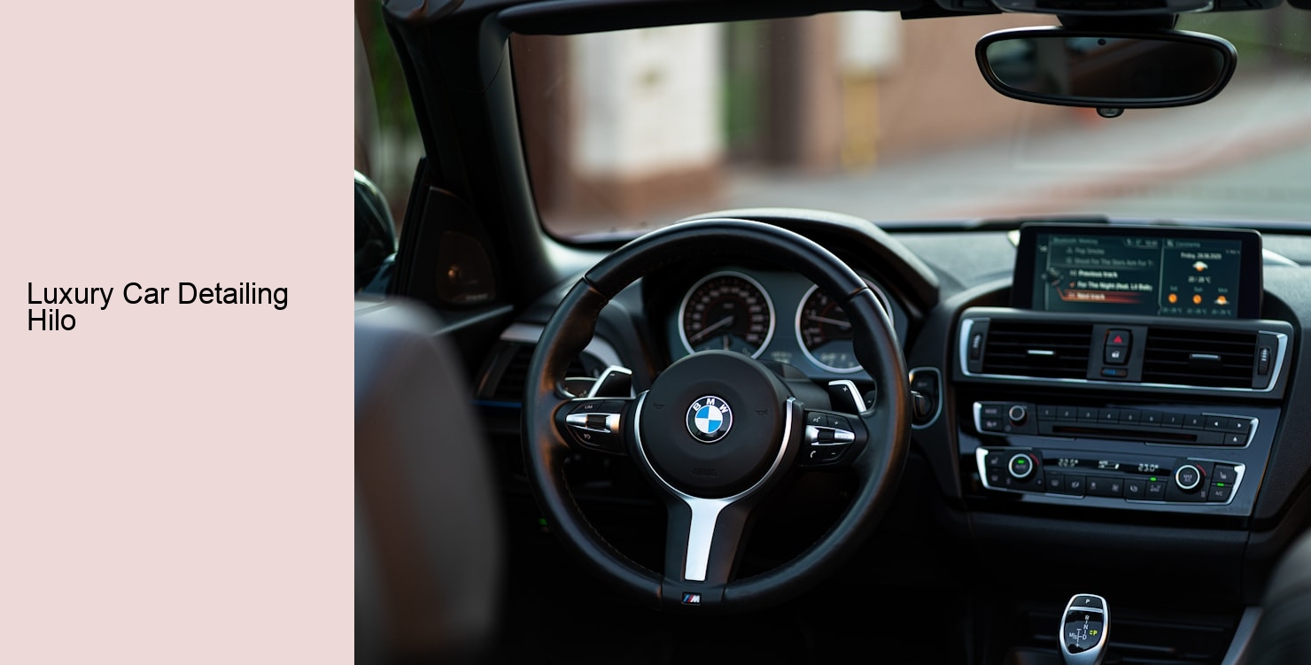Luxury Car Detailing Hilo