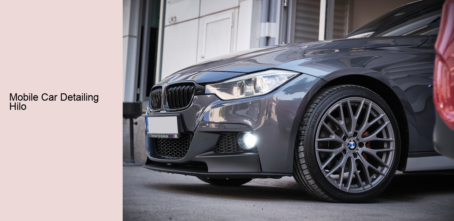 Mobile Car Detailing Hilo