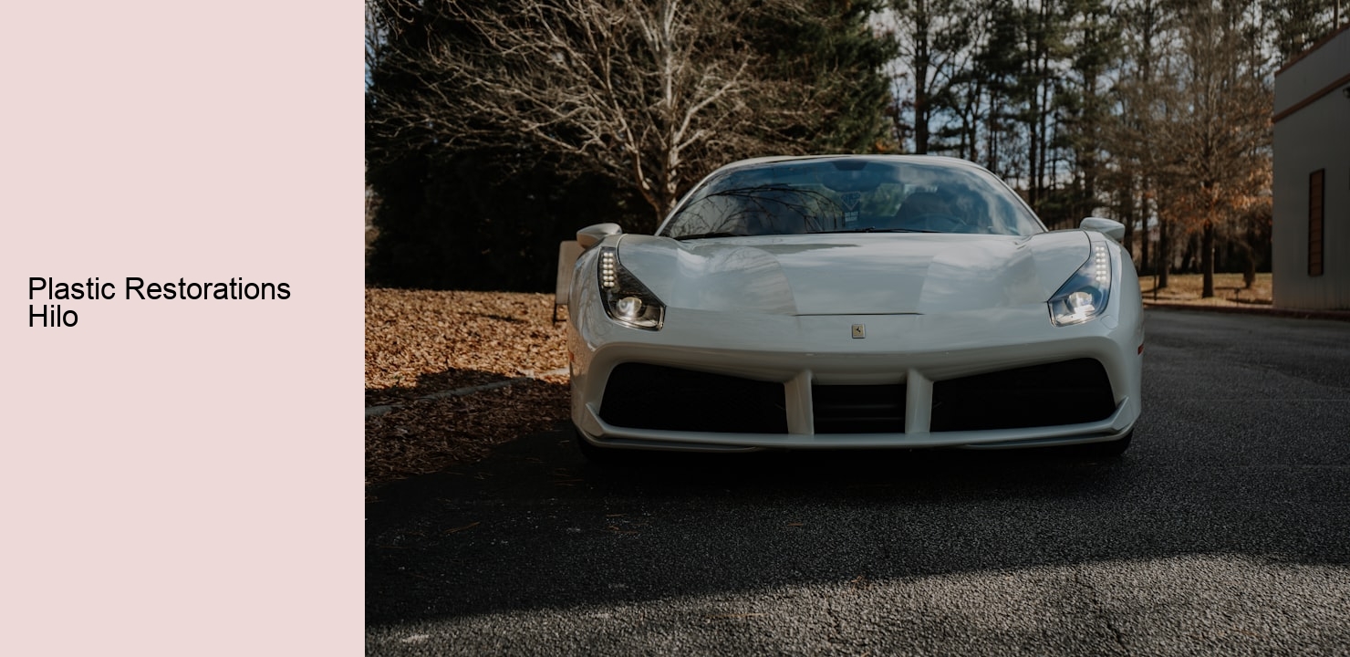 Plastic Restorations Hilo