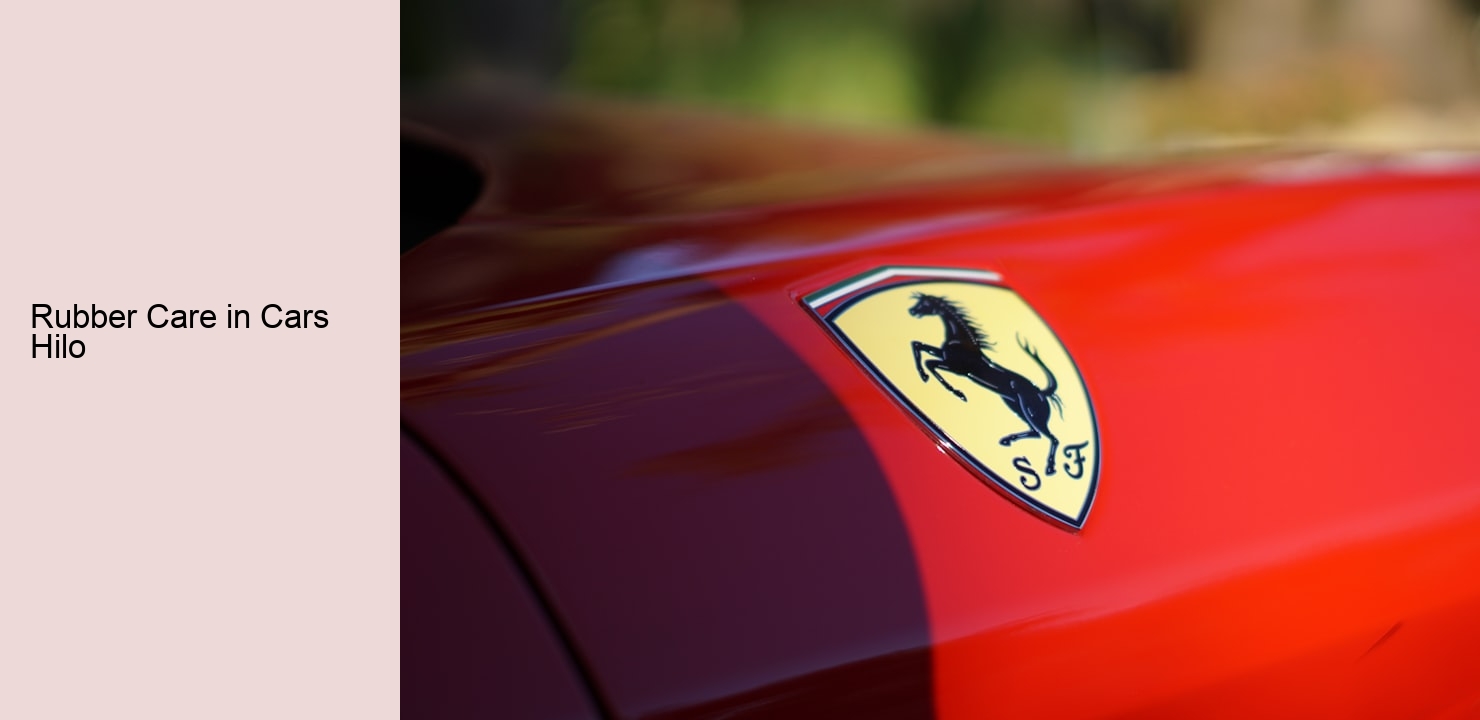 Rubber Care in Cars Hilo