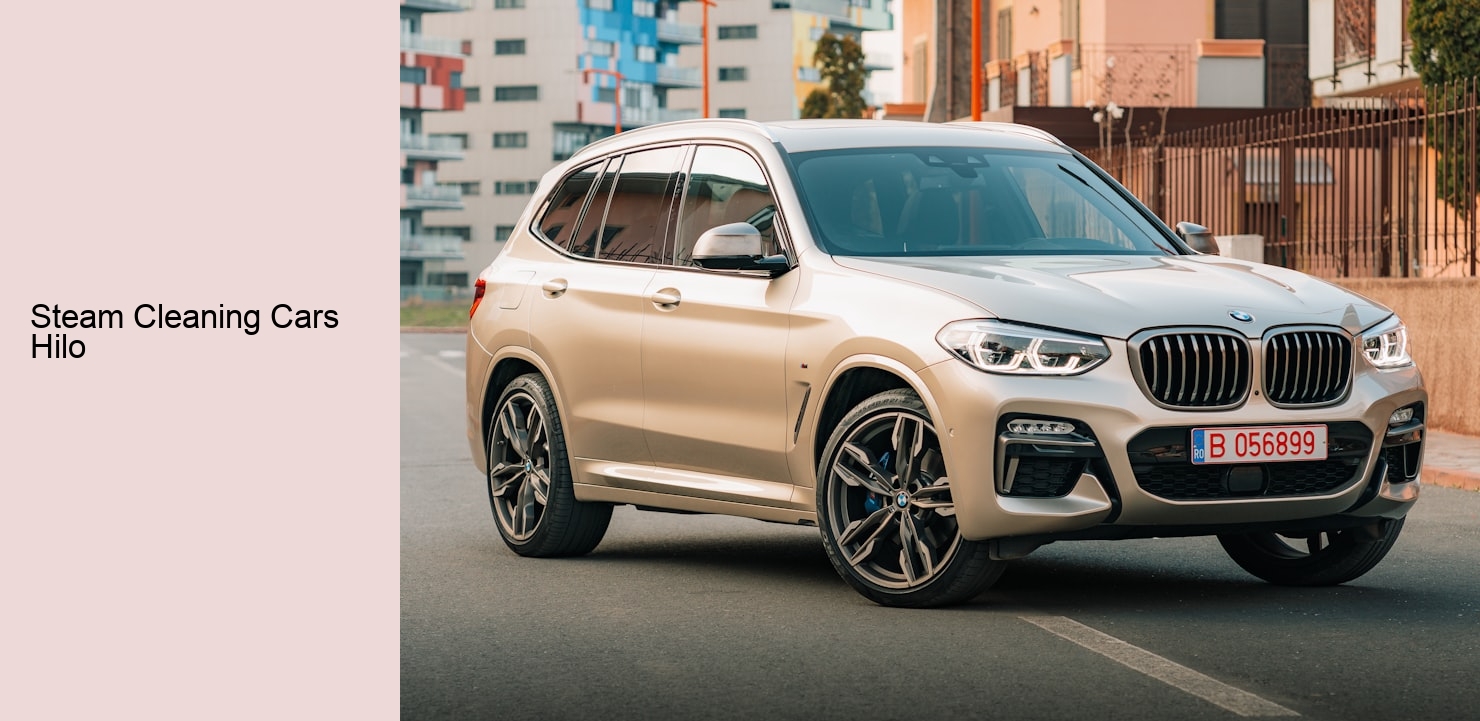 Steam Cleaning Cars Hilo