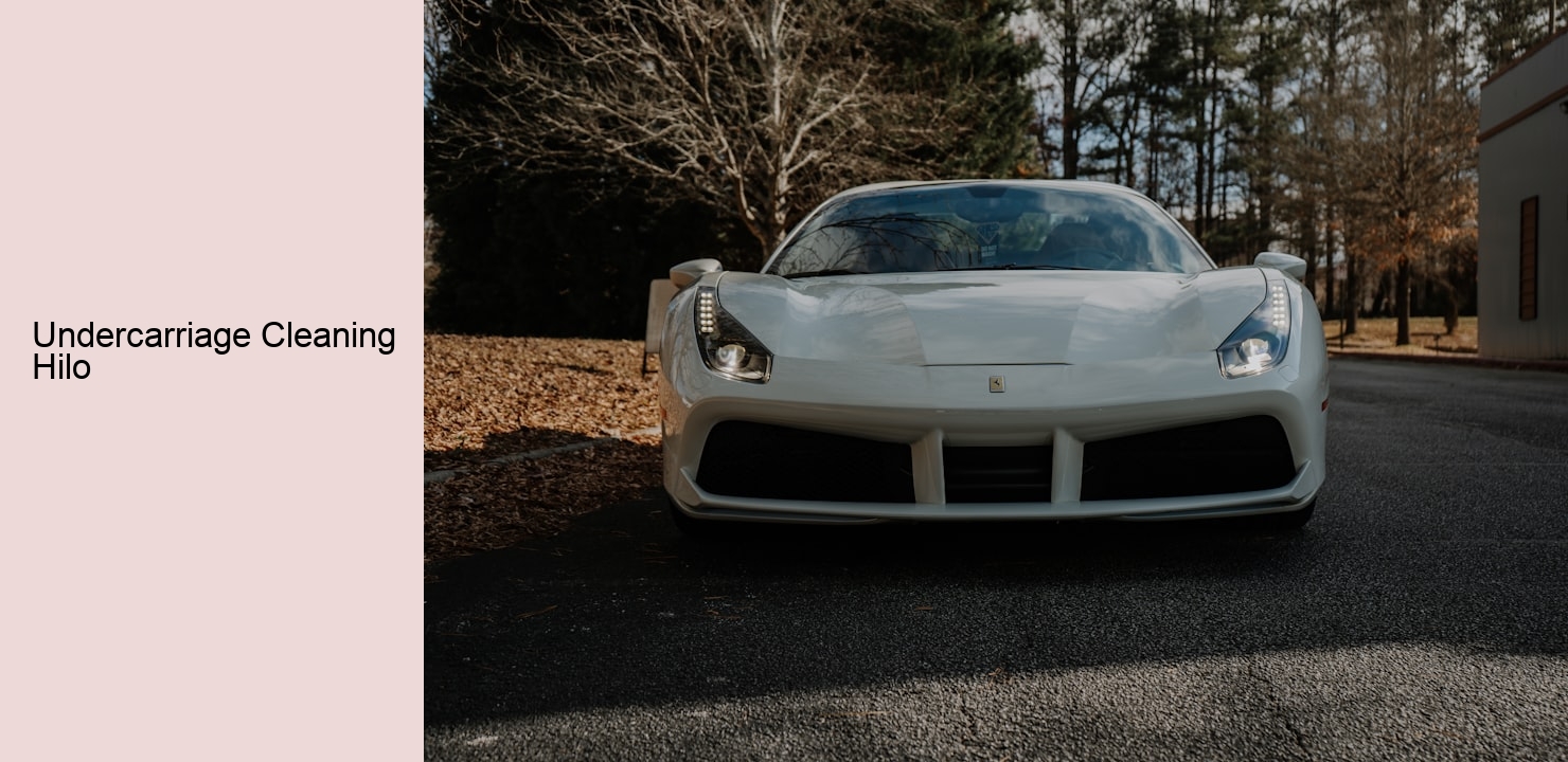 Undercarriage Cleaning Hilo