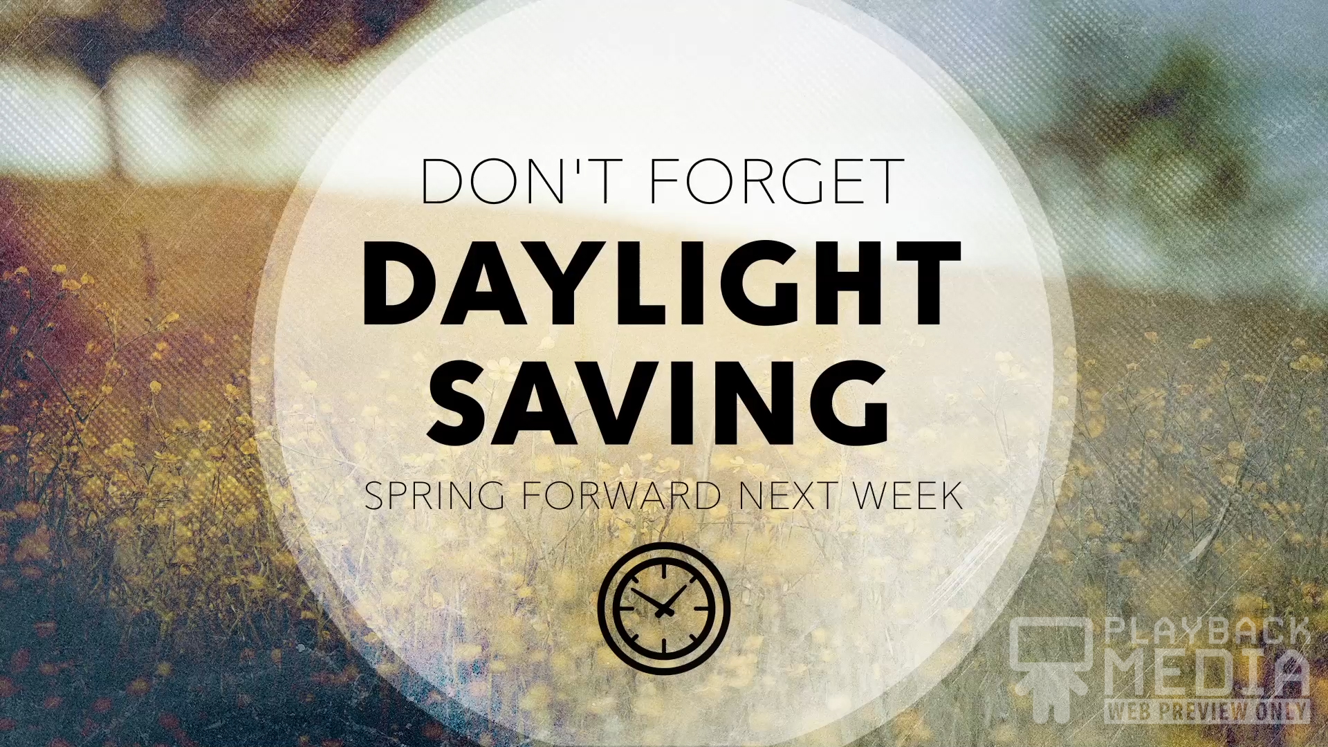 Spring Forward 1 Still Background