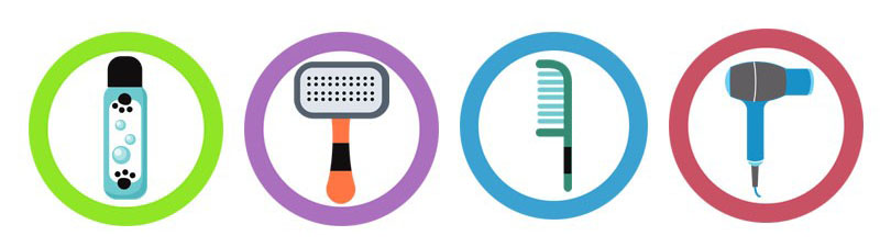 grooming-steps brushing and grooming like a pro