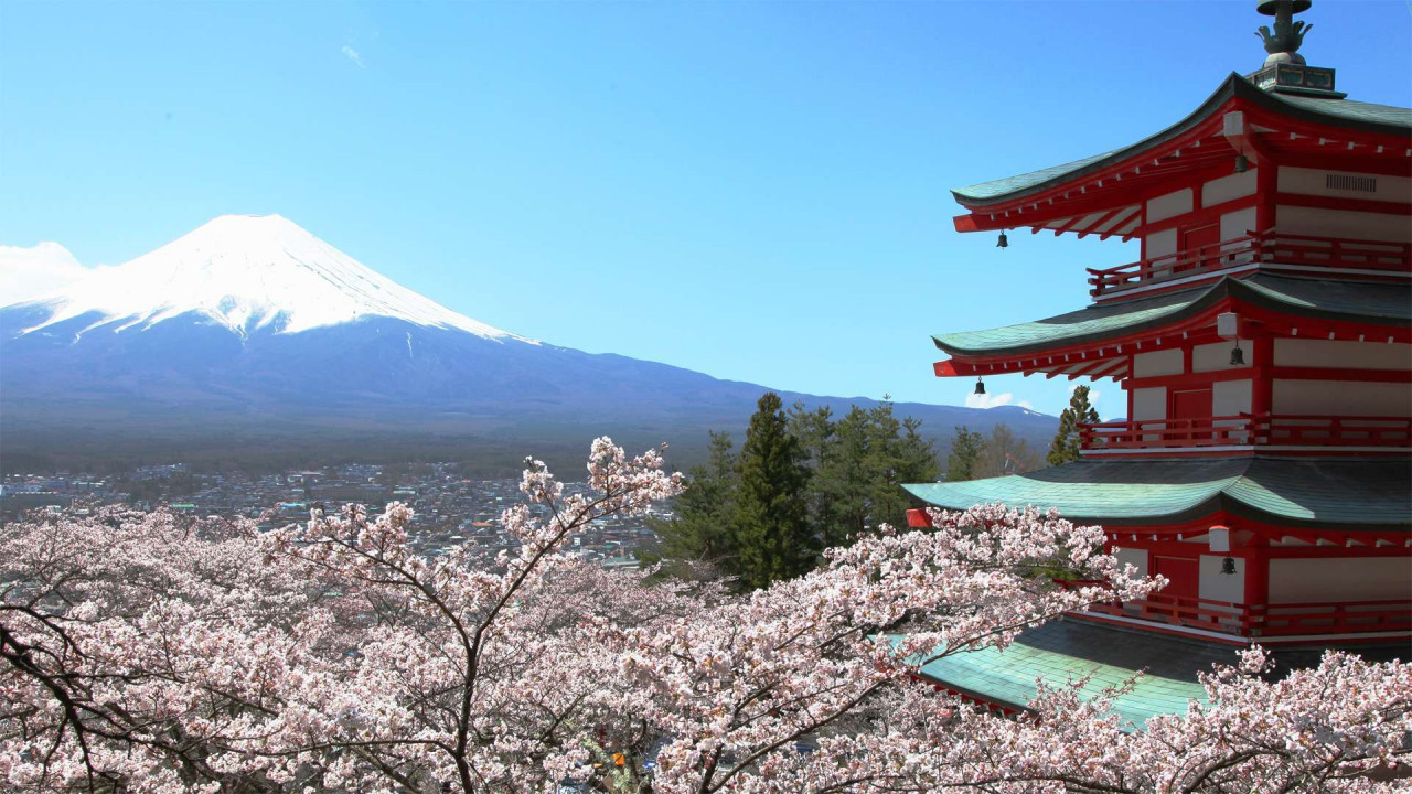 Mount Fuji and Hakone Tour (API Integration Test)