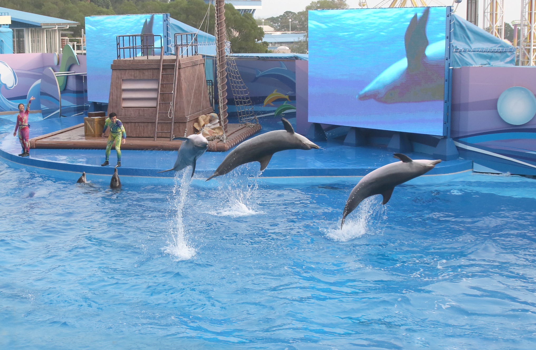 Ocean Park Hong Kong E-ticket
