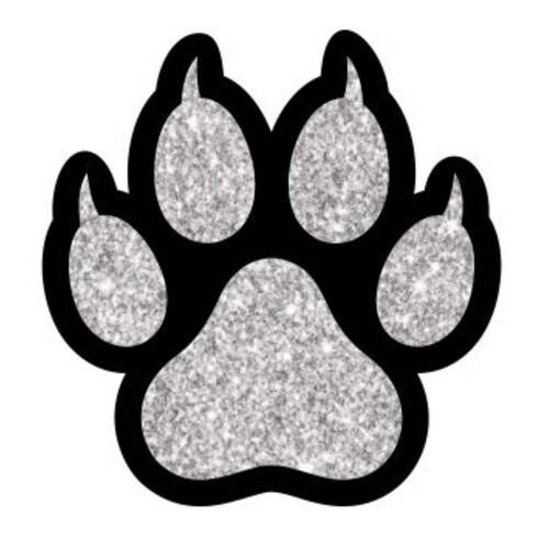 Moore Youth Cheerleading Association