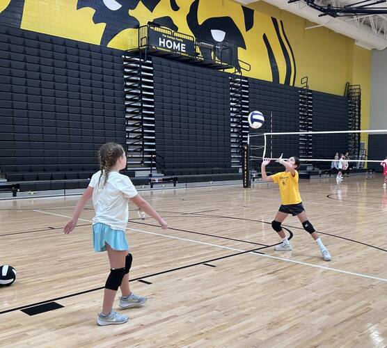 Volleybears 2025 Fall Competition Clinics (4th-7th)