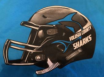 Volusia County Sharks