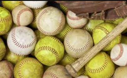 District 29 Little League