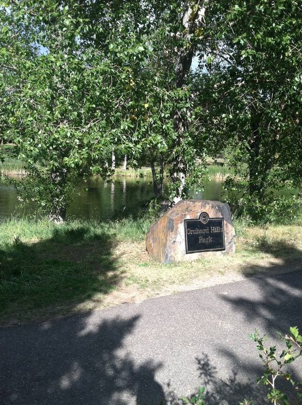 Orchard Hills Park Map of Play