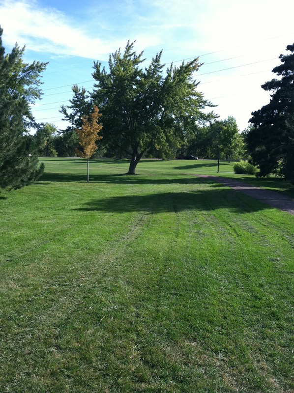 Garland Park Map of Play
