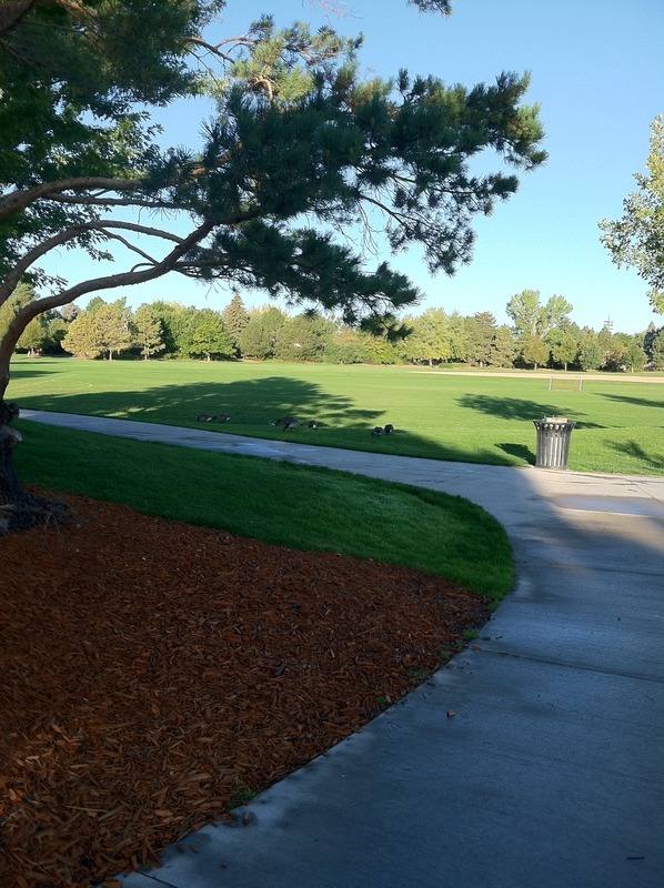 Village Greens Park Map of Play