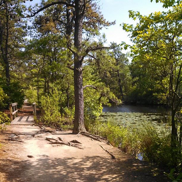 Birch Grove Park Map of Play