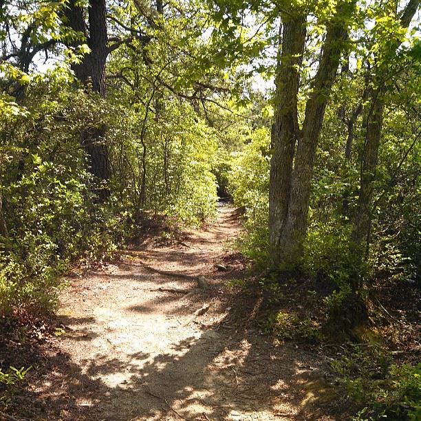 Birch Grove Park Map of Play