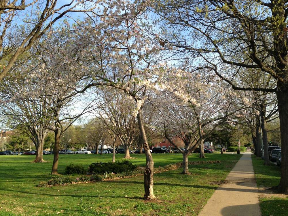 Providence Park Map of Play