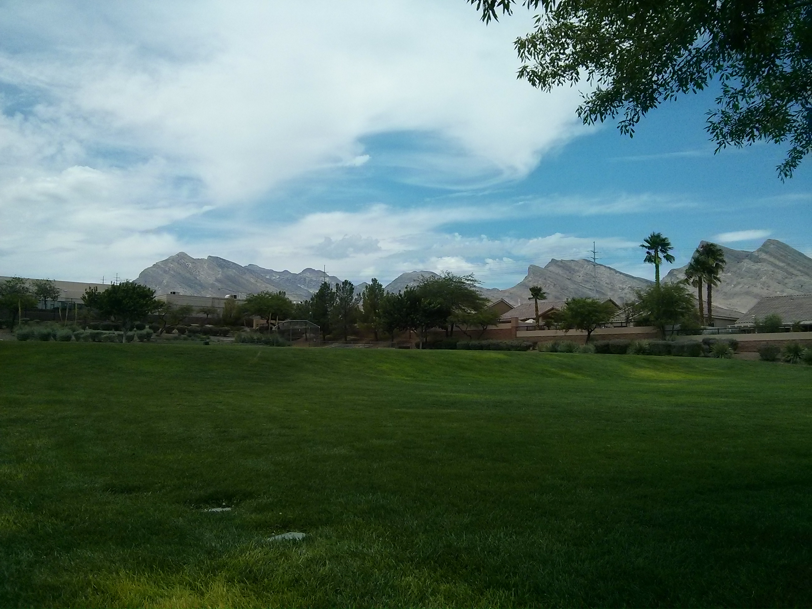 Tree Top Park Map of Play