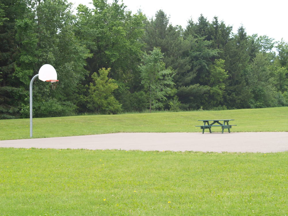 Collins Park Map of Play