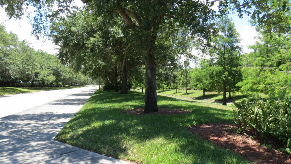 Coral Tree Greenway Map of Play
