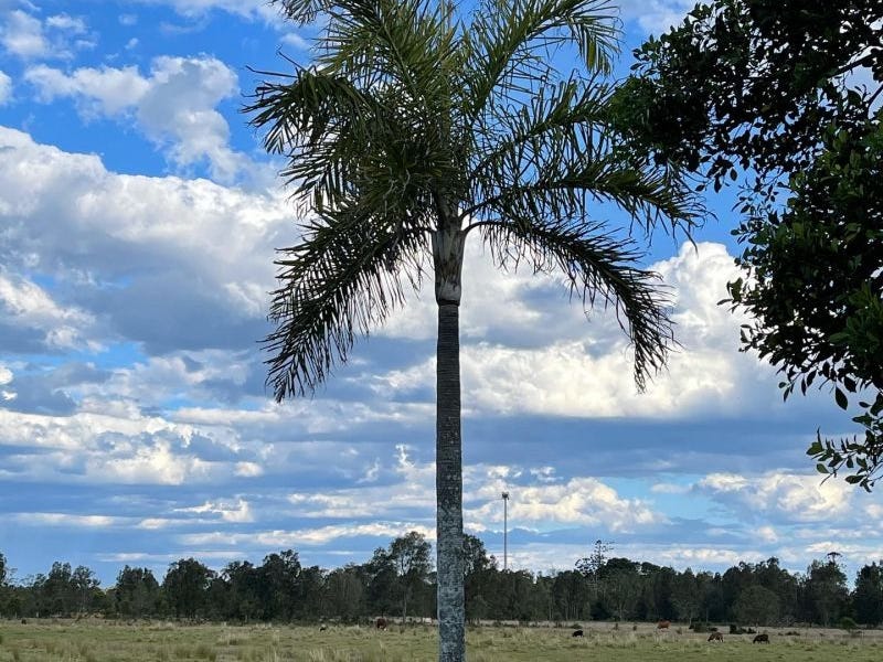 Land for sale - Chinderah, NSW 2487